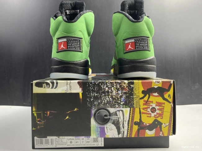 Jordan Oregon SE Air 5 CK6631-307 Ducks 1217